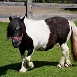 Raderhof בית חווה פלד אם סי