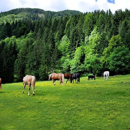 Raderhof