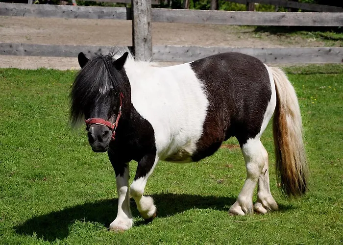 Raderhof Farmház Feld am See