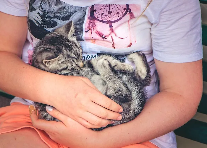 Vakantieboerderij Raderhof *